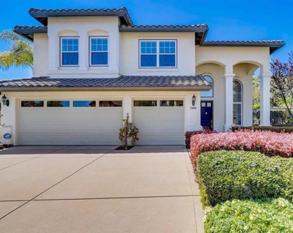 7309 Golden Star Lane, Carlsbad