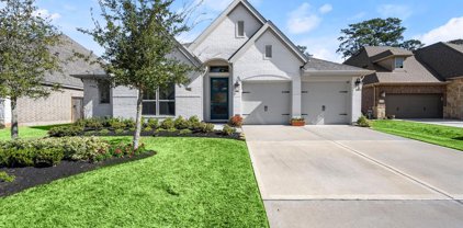 423 Callery Pear Court, Conroe