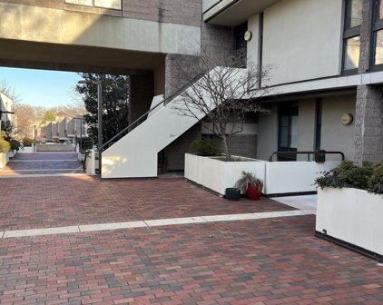 2325 Wineberry Ter Unit #2325, Baltimore