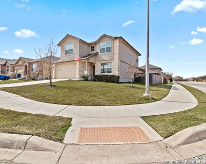 12377 Erstein Valley, Selma