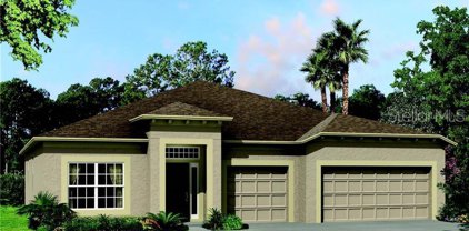 5040 Bromeliad Avenue, Wimauma
