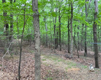 Lot 25 Saddleback  Trl, Hardy