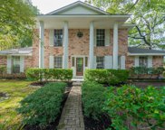 23615 Youpon Lane, Spring image