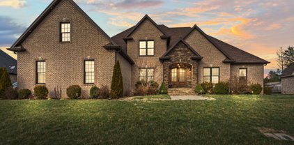 3117 Carrie Taylor Cir, Clarksville
