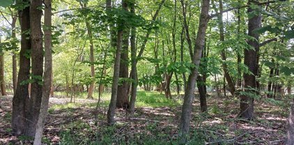 V/L Bemus  Street, Jamestown-City-060800