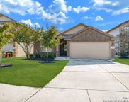 918 Red Crossbill, San Antonio image