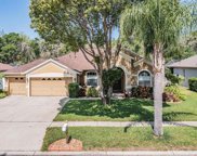 4603 River Overlook Drive, Valrico image