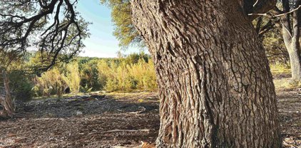 Lot 16 Rifle Ridge, Burnet
