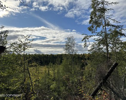30684 S Talkeetna Spur Road, Talkeetna