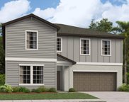 22135 Nebula Way, Land O' Lakes image