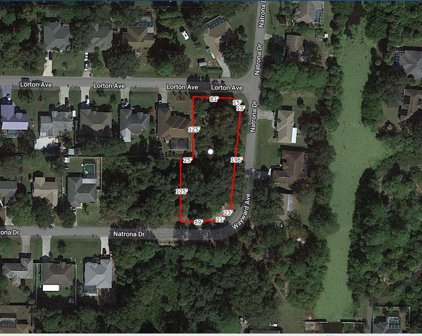 Lorton Avenue, North Port
