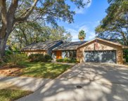 48 Bishop Creek Drive, Safety Harbor image