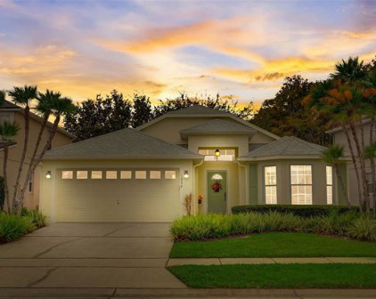 1230 Royal Saint George Drive, Orlando