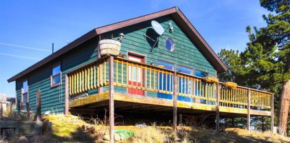 1040 Sheep Ridge  Road, Fairplay