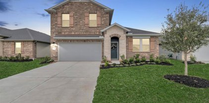 12718 Oat Grass Drive, Crosby