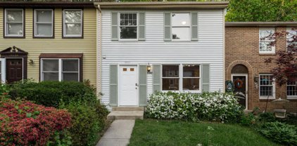 19807 Apple Ridge Pl, Montgomery Village