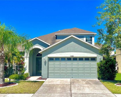 30551 Palmerston Place, Wesley Chapel