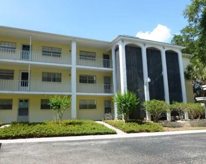 1020 Deleon Drive Unit 207, Dunedin