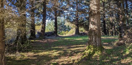 28650 N BUENA Vista, Gold Beach