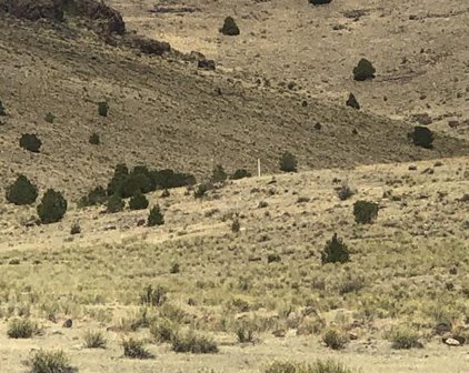 Co Rd Ee38, Saguache