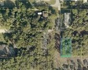 7141 Guava Avenue, Bokeelia image