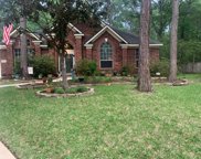 15 S Bristol Oak Court, The Woodlands image