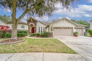 2004 Wexford Green Drive, Valrico image