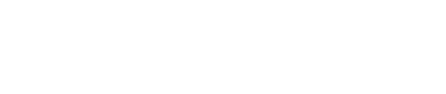 Clever Savage Group