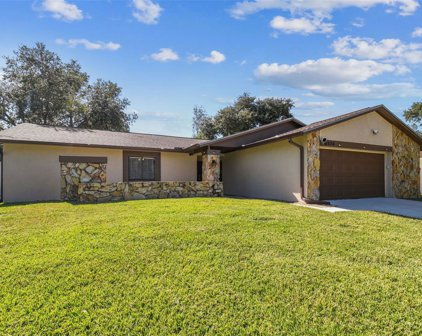 16104 Country Crossing Dr, Tampa