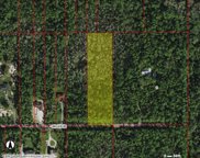4849 26th Avenue SE, Naples image