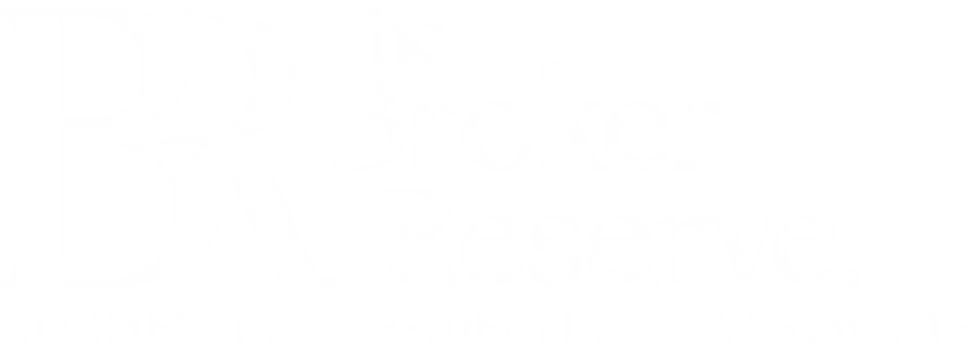 The Broker Reserve Logo