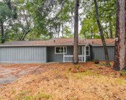 1001 E Red Cedar Circle, Spring image