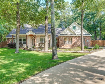 18854 Lake Terrace, Montgomery