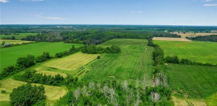 Chestnut Ridge  Road, Royalton-293689