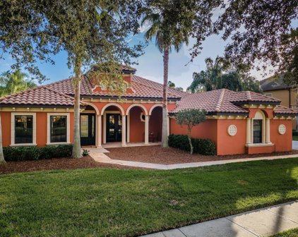 22424 Oakville Drive, Land O' Lakes