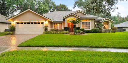 805 Rosemist Court, Ocoee