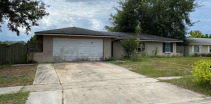 3230 Caulfield Street, Apopka