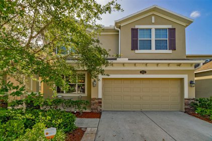 10649 Pictorial Park Drive, Tampa