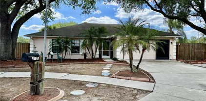 1104 Windhorst Ridge Drive, Brandon
