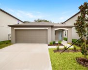 5253 White Chicory Drive, Apollo Beach image