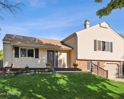 811 S Sheridan Drive, Bartlett