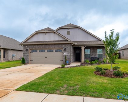 105 Havner Drive, Hazel Green