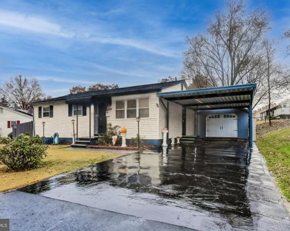 3388 Horsehead S, Laurel