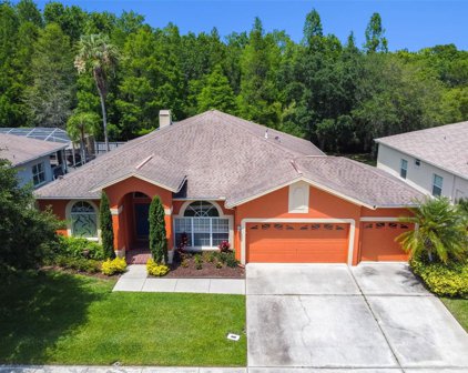 28447 Great Bend Place, Wesley Chapel