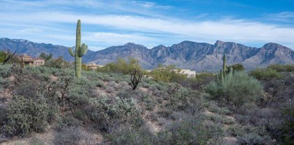 12565 N Vistoso View Unit #-, Oro Valley
