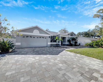 6528 Steeplechase Drive, Tampa
