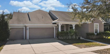 14348 Paradise Tree Drive, Orlando
