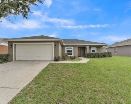 1322 Laurel Glen Drive, Bartow