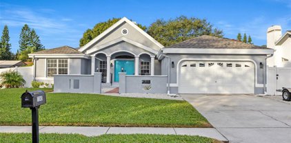 1345 Hillside Drive, Tarpon Springs