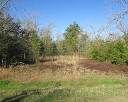 604 Cordele Road, Albany